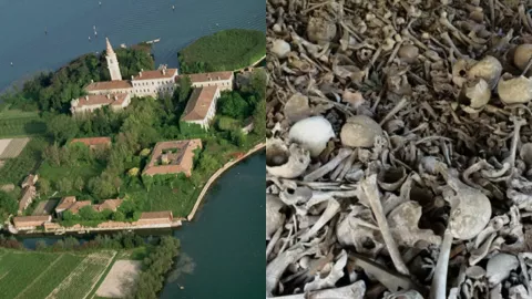 意大利波韦利亚岛