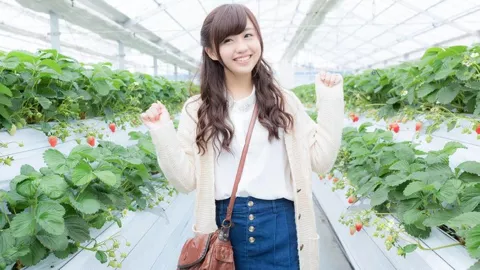 中国海洋大学爬楼机